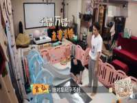 无锡市立青花卉有限责任公司