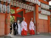 无锡市立青花卉有限责任公司